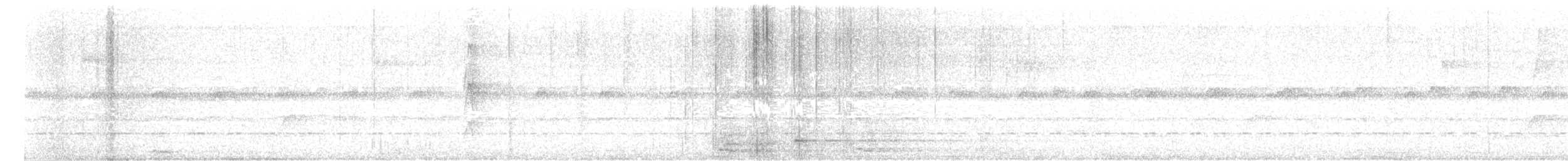 Picoplano Bigotudo - ML609695126