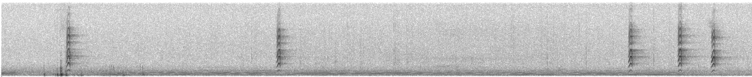 Blue Jay - ML609707300