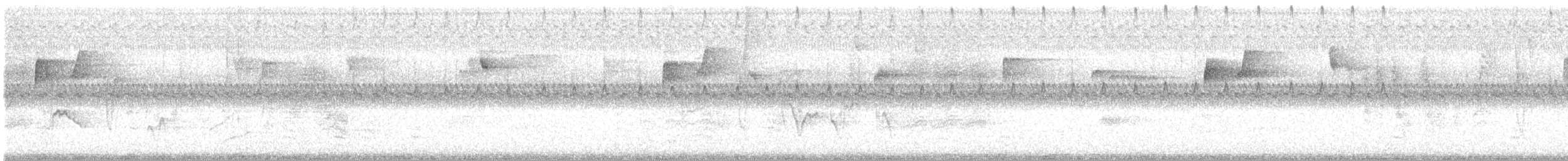 Blue-headed Vireo - ML609707321