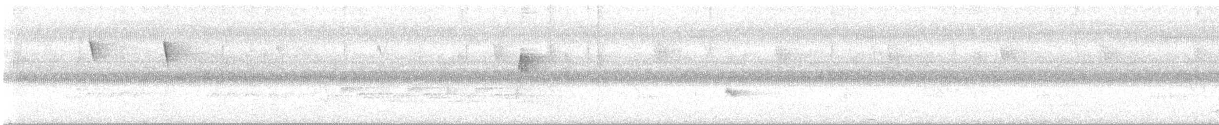 Gray-cheeked Thrush - ML609707598