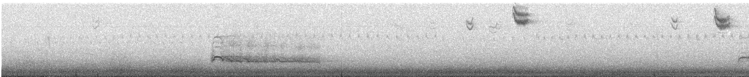 rødhalevåk (borealis) - ML609708206