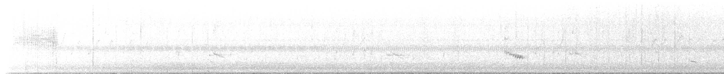 střízlík karolínský [skupina ludovicianus] - ML609725902
