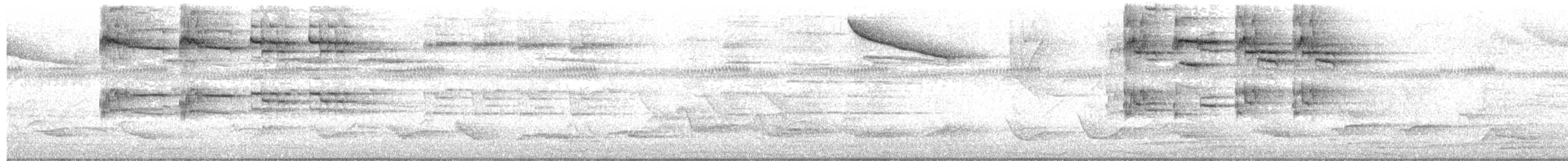ヒガシウスズミツグミ - ML609726522