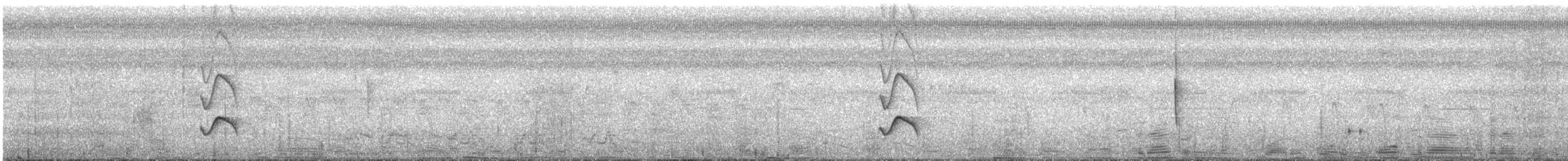 Тиранчик-короткодзьоб північний - ML609727961