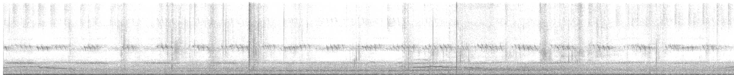 Eastern Screech-Owl - ML609730171