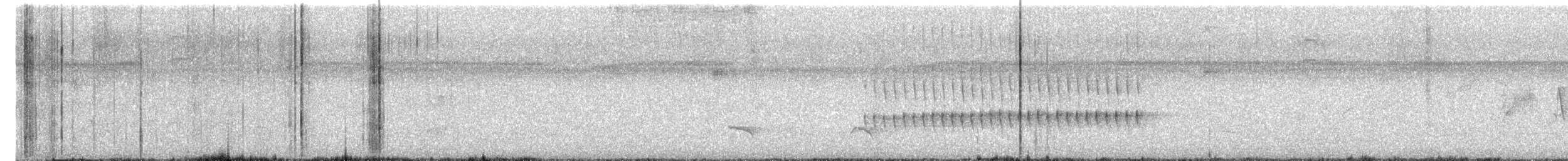 Long-billed Gnatwren - ML609735808