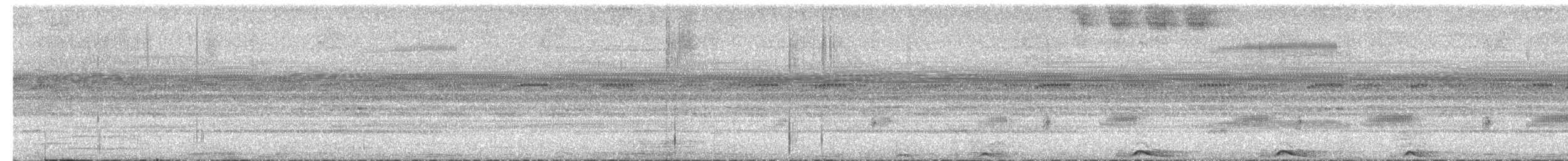 Mottled Owl - ML609735986