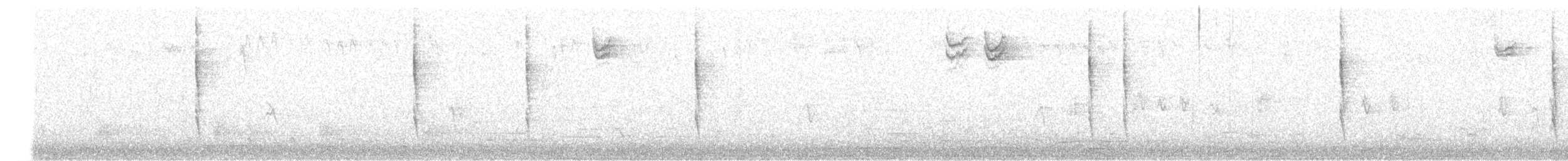 Troglodyte de Baird - ML609737593