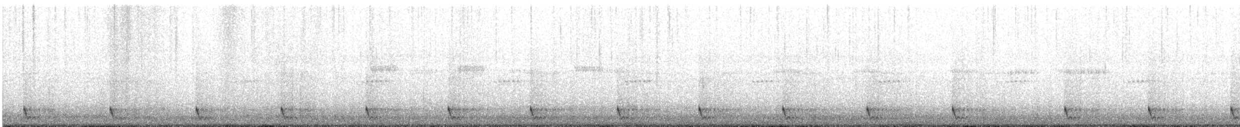 Large-tailed Nightjar - ML609742899