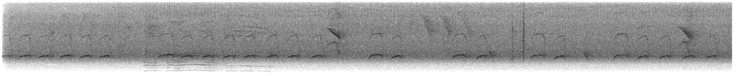 Якамара рудохвоста (підвид melanogenia) - ML609746010