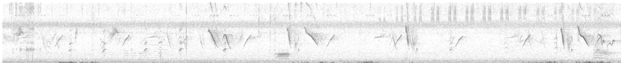 Атласная нектарница - ML609749749