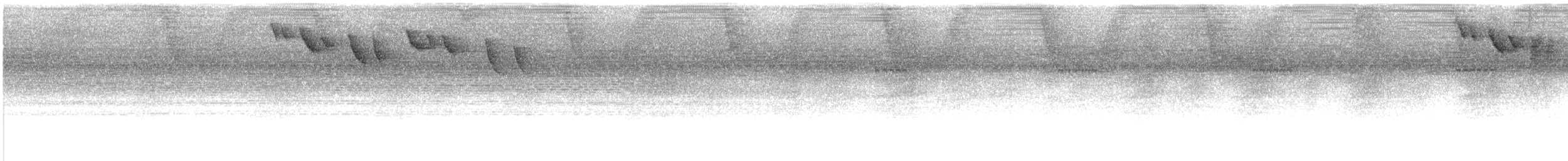 Ерміт смугастохвостий - ML609750984