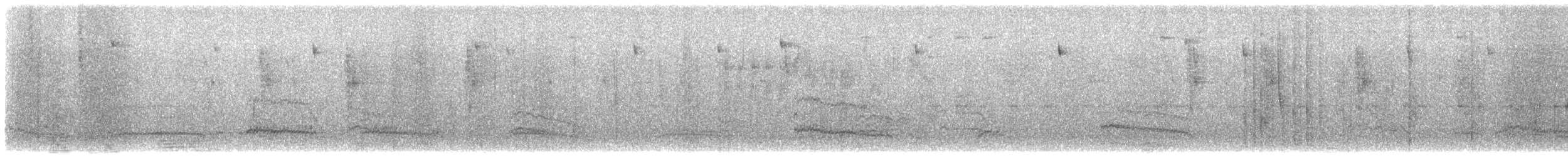 Andean Gull - ML609751250