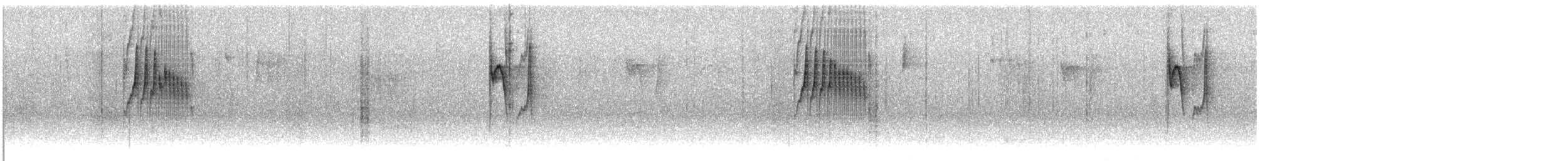 Brauentachurityrann - ML609751423