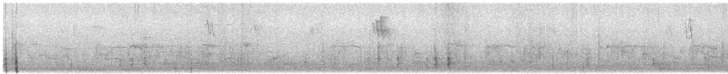 California Quail - ML609754309