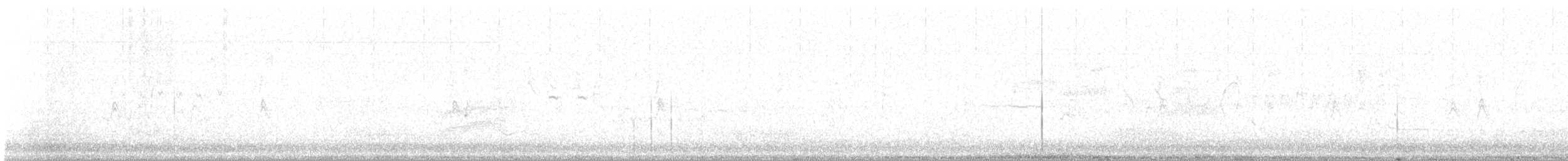 Тауї плямистий - ML609754708