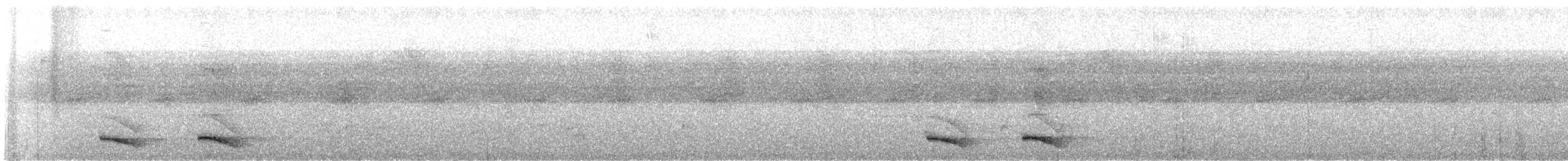 Ошейниковый трогон - ML609756451