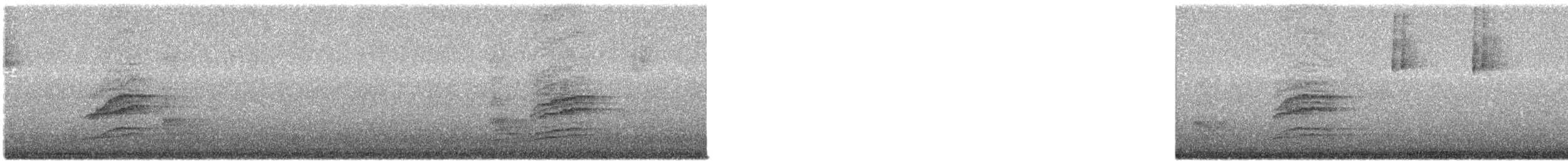 Hermit Thrush - ML609759229