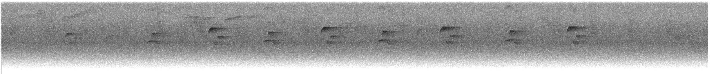 Пестрогрудый тираннчик - ML609777527