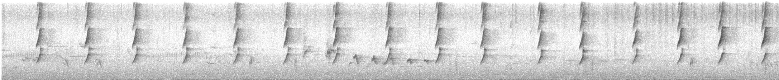 Méliphage bruyant - ML609782933