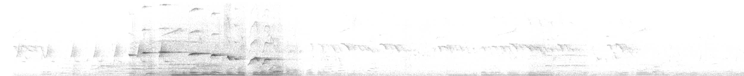 White-browed Fantail - ML609784169