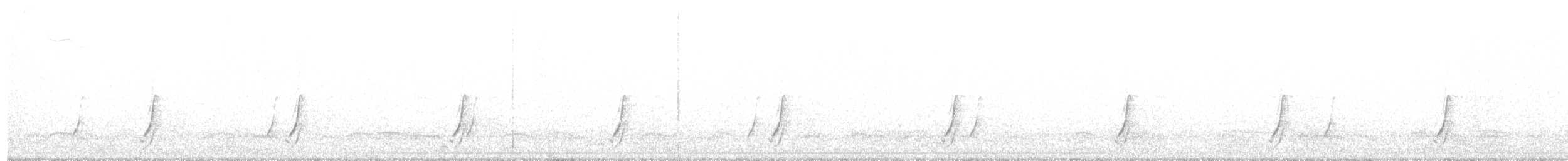 斑胸秧雞 - ML609784662