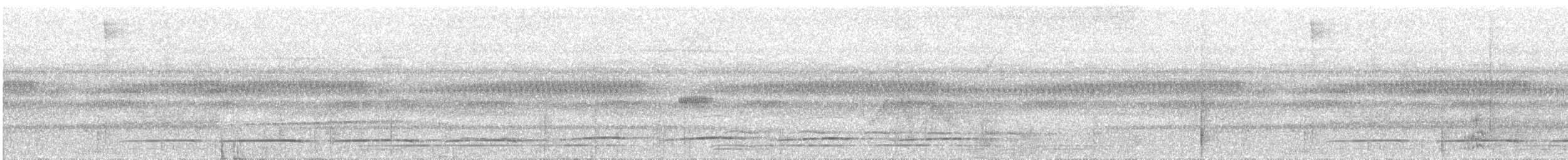 Sclater's Antwren - ML609786292