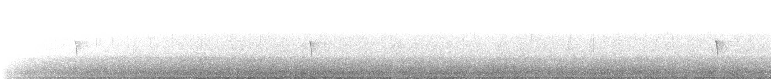 Eastern Phoebe - ML609789468