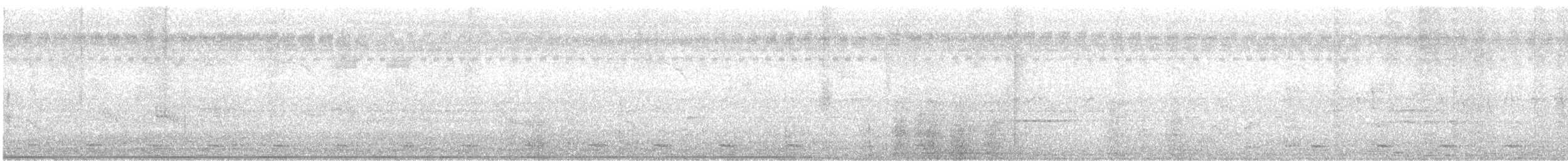 白腹秧雞 - ML609789816