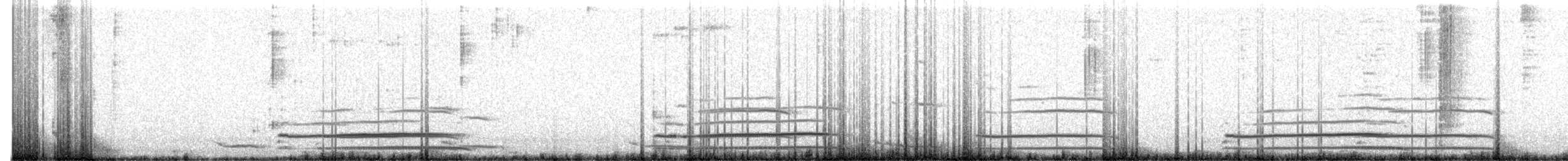 American Herring Gull - ML609793414