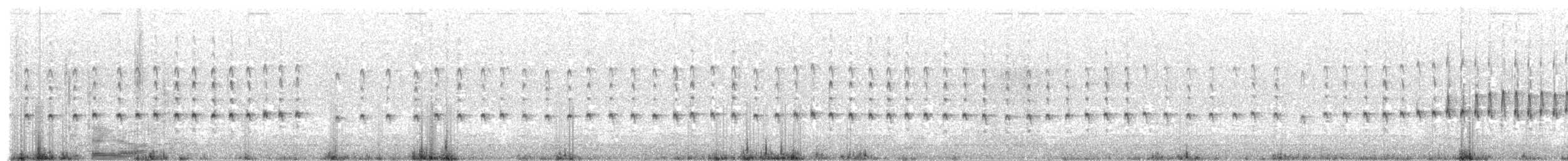 Langschnabel-Erdhacker - ML609812682