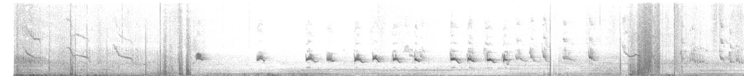 sørkrattvaktel (cristatus gr.) - ML609813970