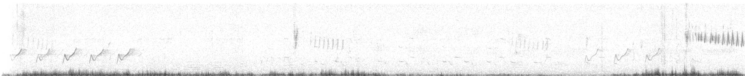 Common Tailorbird - ML609820986