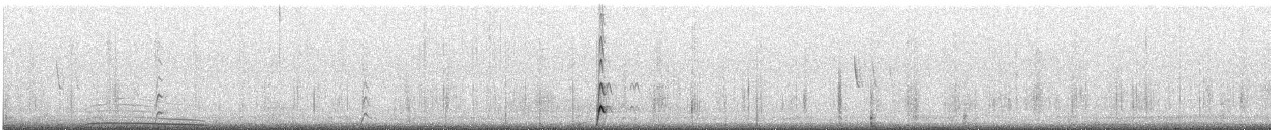 Tinamou élégant - ML609822838