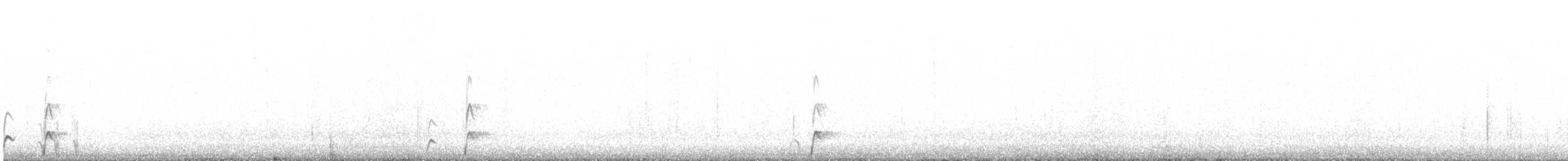 Elegant Crested-Tinamou - ML609822842
