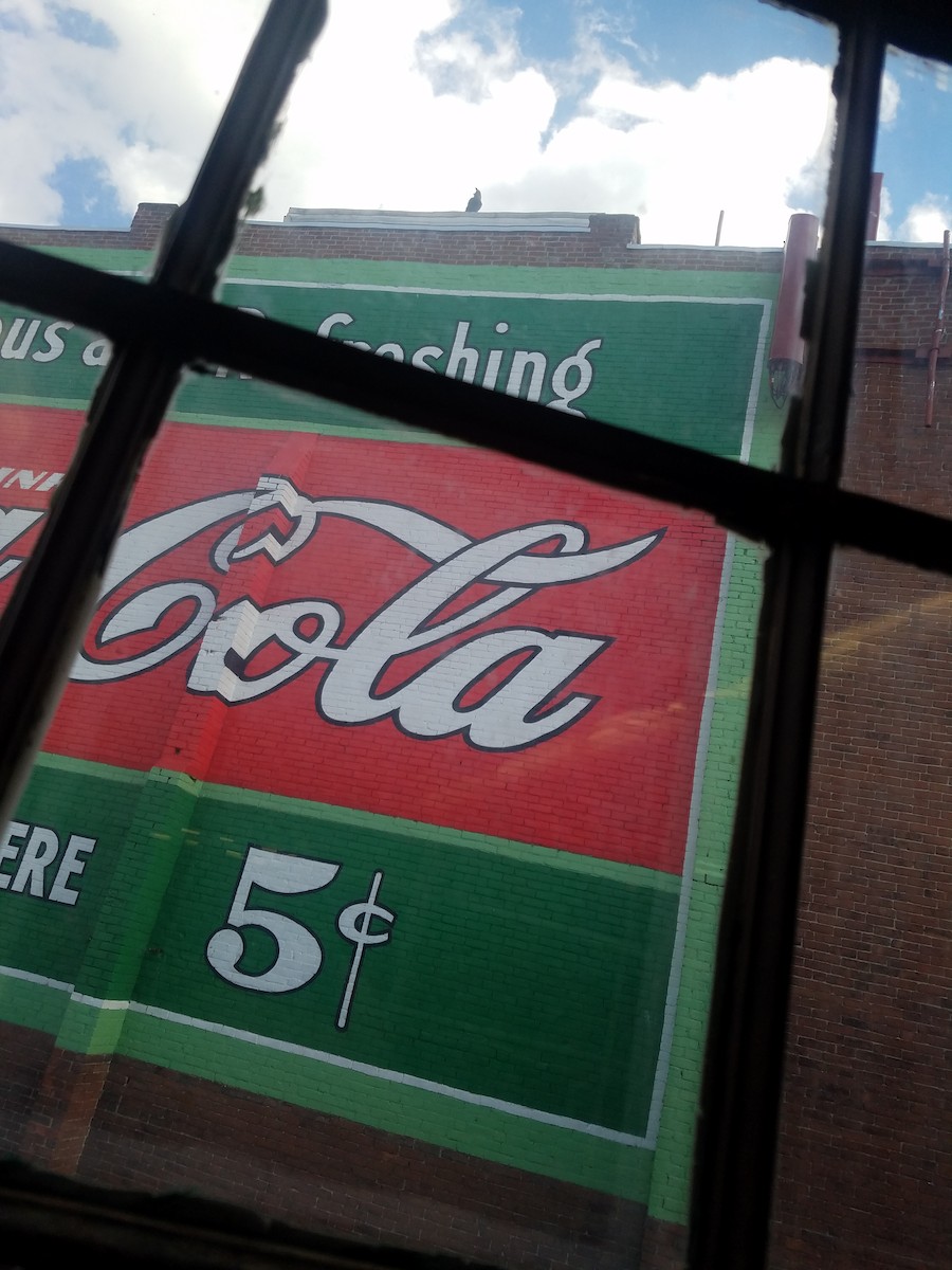 Common Raven - ML609824083