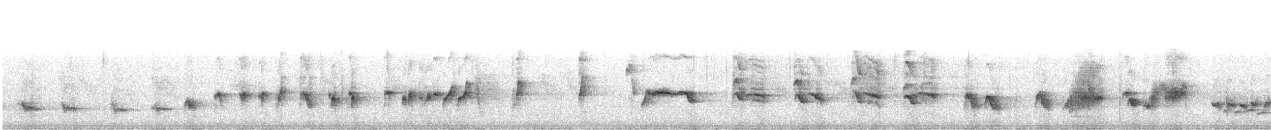 Northern Mockingbird - ML609824118