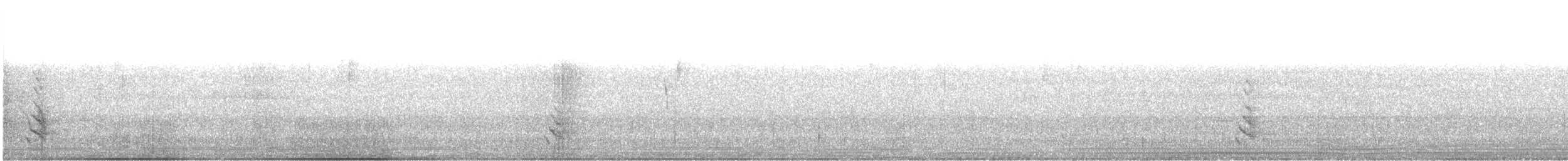 Long-billed Thrasher - ML609824129