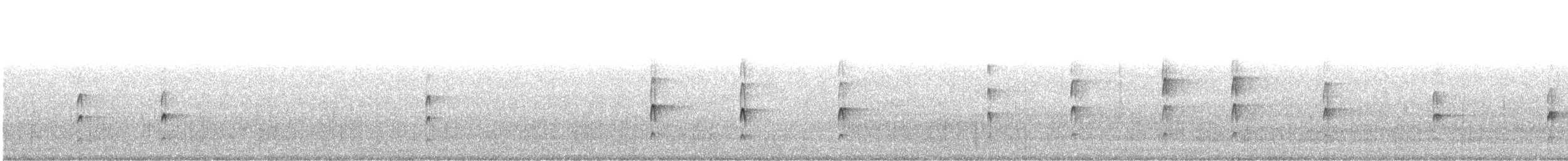 Couch's Kingbird - ML609824132