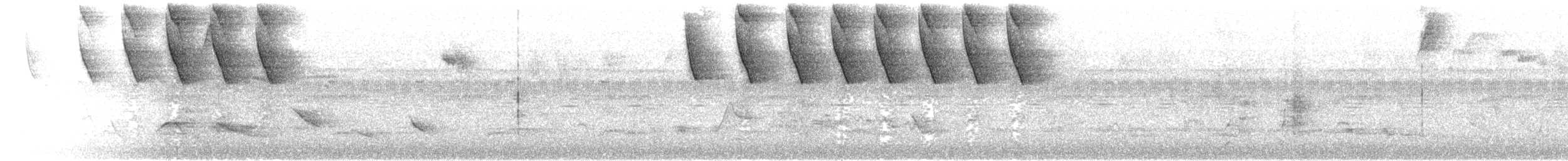 Gelbschnabel-Buschammer (flavirostris) - ML609836265