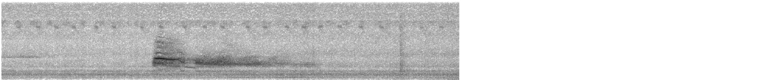 Краснохвостый канюк (borealis) - ML609836786