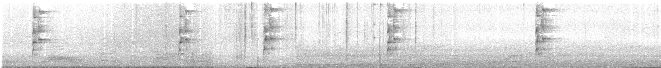 Аракарі плямистоволий [група torquatus] - ML609844656
