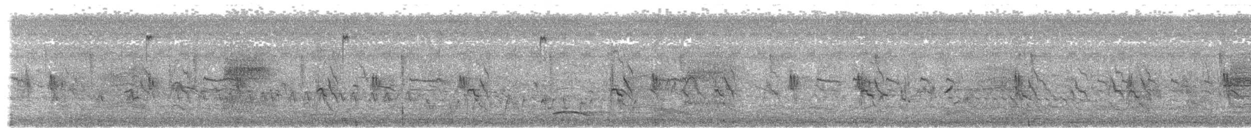 Black-breasted Weaver - ML609856319