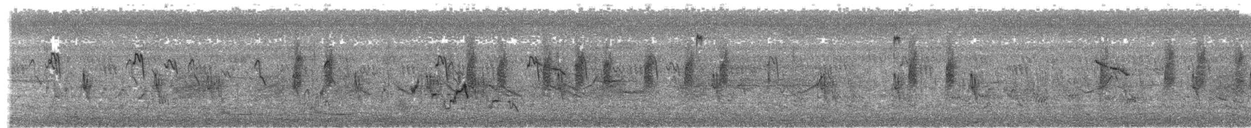 Black-breasted Weaver - ML609857241