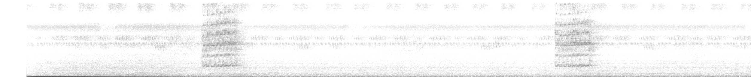 Eastern Barn Owl - ML609858007