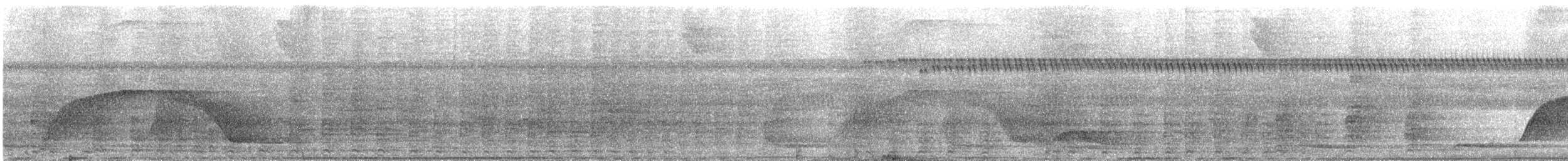 Kara Kanatlı Borazankuşu - ML609861766