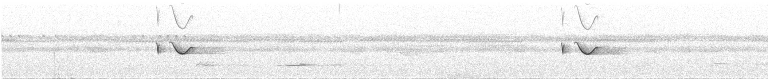 Fleckschwanz-Nachtschwalbe - ML609862419