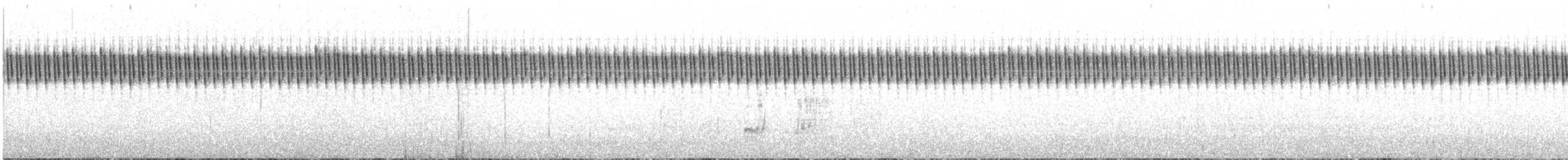 Locustelle lancéolée - ML609862890