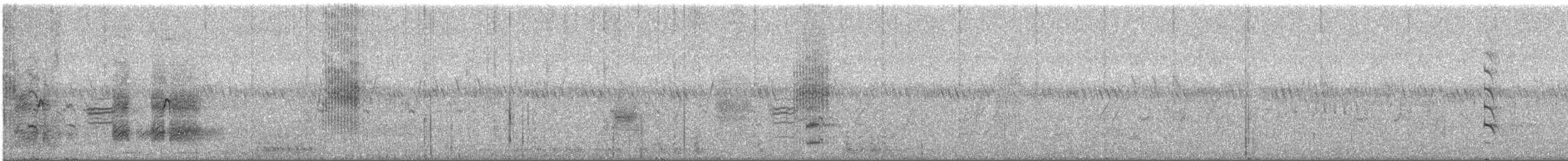 Codorniz Coromandélica - ML609876695