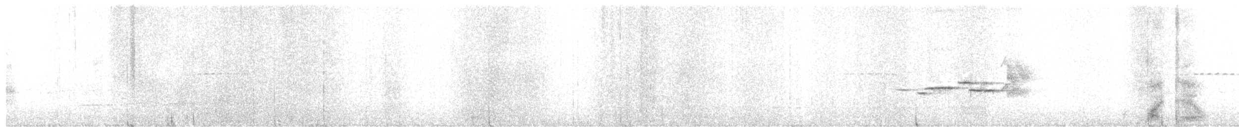 Белохвостая индига - ML609877461
